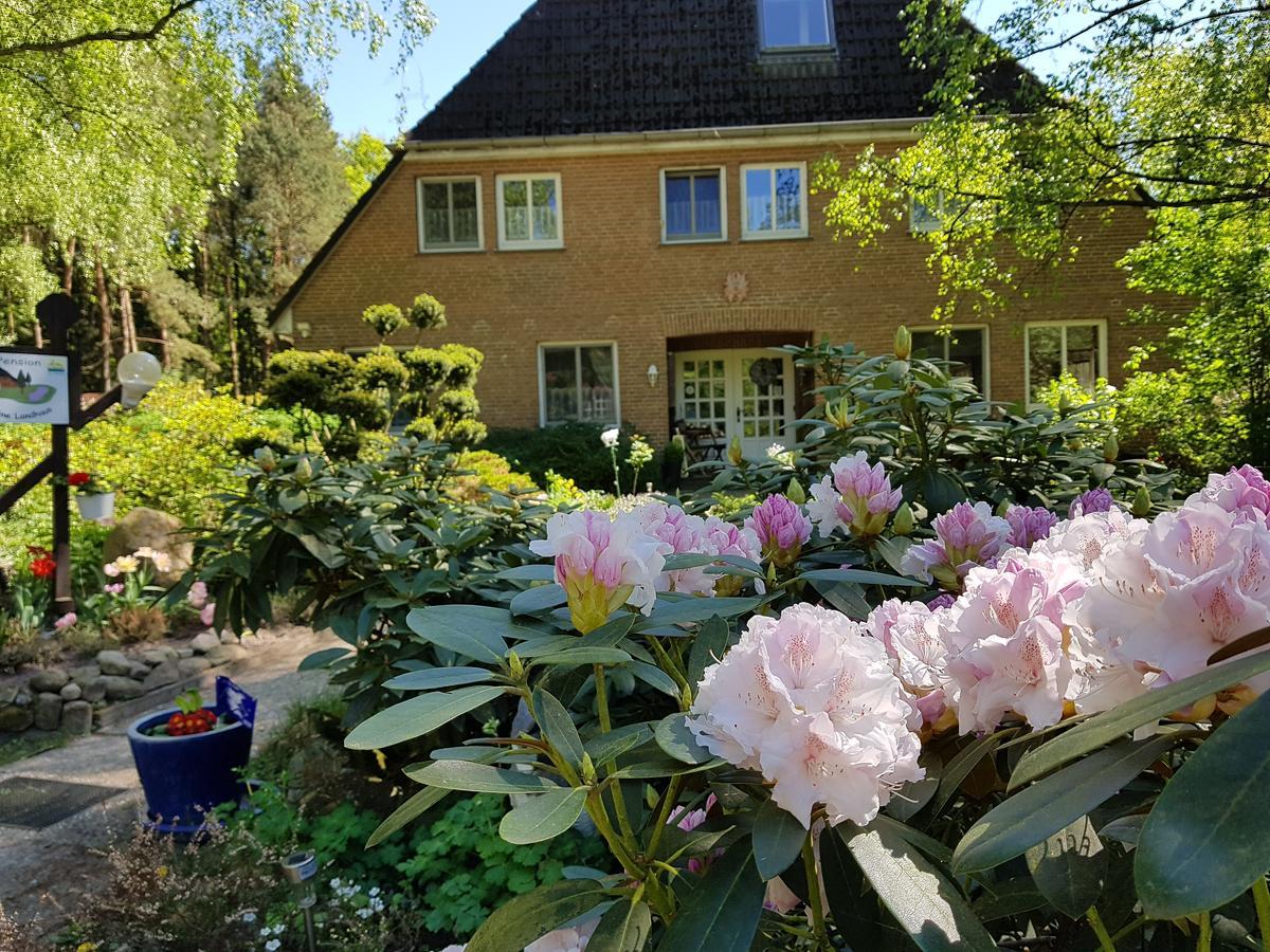 Pension 'Das Kleine Landhaus' Bed and Breakfast Oberhaverbeck Eksteriør billede