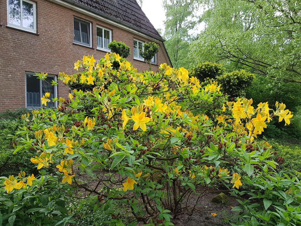 Pension 'Das Kleine Landhaus' Bed and Breakfast Oberhaverbeck Eksteriør billede